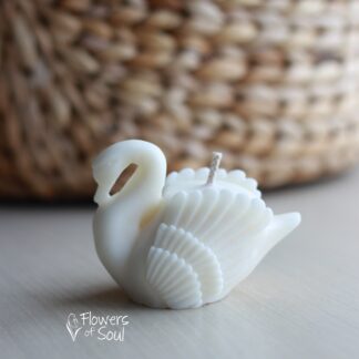 Mărturie lebădă, 80 gr