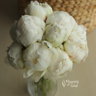 Buchet cu bujori albi