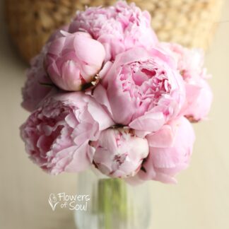 Buchet cu bujori roz