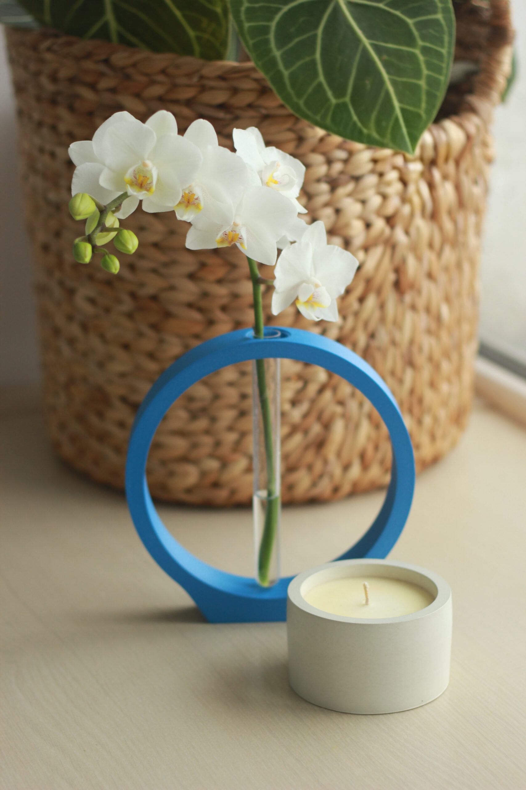 Set lumânare din ceară de soia turnată manual, vază minimalistă și mini orhidee Phalaenopsis