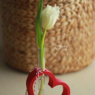 Mărțișor vază minimalistă cu lalea